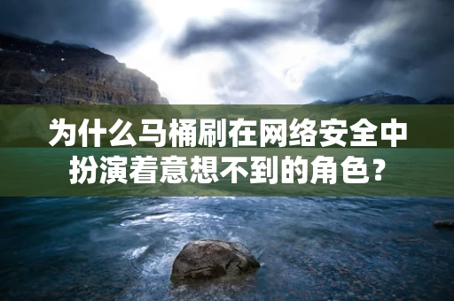 为什么马桶刷在网络安全中扮演着意想不到的角色？