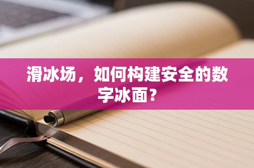 滑冰场，如何构建安全的数字冰面？