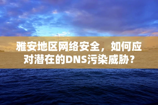 雅安地区网络安全，如何应对潜在的DNS污染威胁？