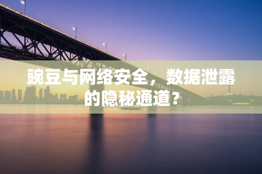 豌豆与网络安全，数据泄露的隐秘通道？