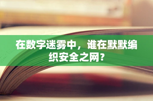 在数字迷雾中，谁在默默编织安全之网？