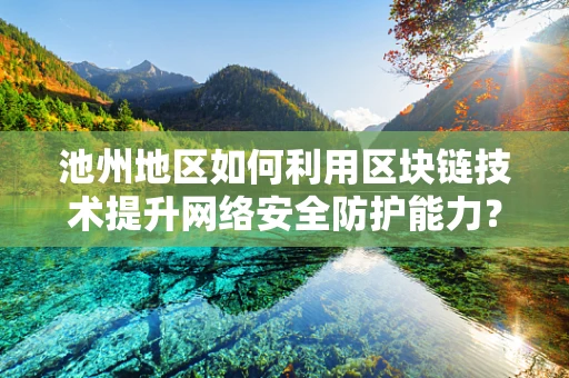 池州地区如何利用区块链技术提升网络安全防护能力？