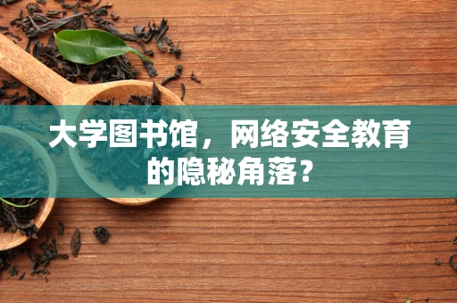 大学图书馆，网络安全教育的隐秘角落？