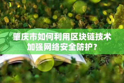 肇庆市如何利用区块链技术加强网络安全防护？