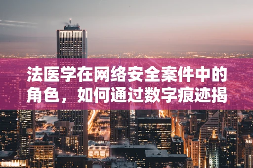 法医学在网络安全案件中的角色，如何通过数字痕迹揭开犯罪真相？