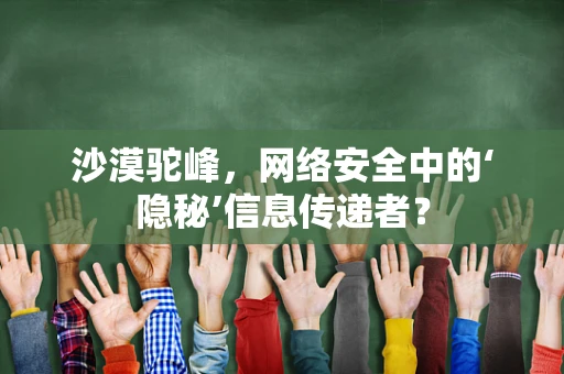 沙漠驼峰，网络安全中的‘隐秘’信息传递者？