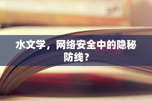 水文学，网络安全中的隐秘防线？