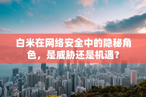 白米在网络安全中的隐秘角色，是威胁还是机遇？