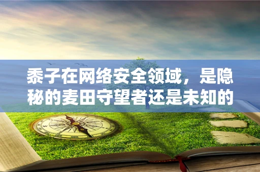 黍子在网络安全领域，是隐秘的麦田守望者还是未知的威胁载体？