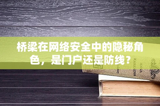 桥梁在网络安全中的隐秘角色，是门户还是防线？