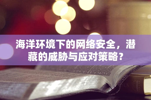 海洋环境下的网络安全，潜藏的威胁与应对策略？