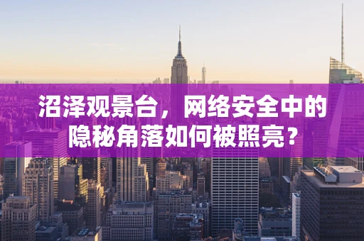 沼泽观景台，网络安全中的隐秘角落如何被照亮？