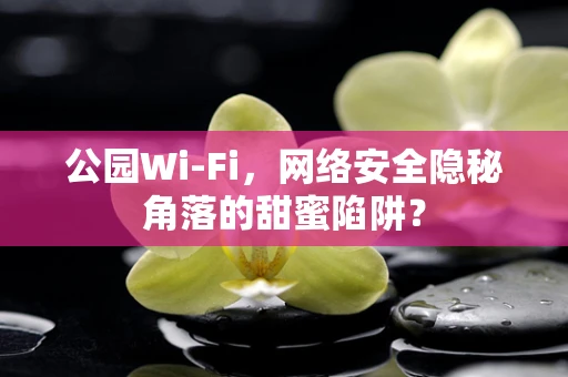 公园Wi-Fi，网络安全隐秘角落的甜蜜陷阱？