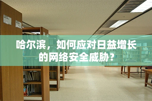 哈尔滨，如何应对日益增长的网络安全威胁？