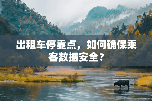 出租车停靠点，如何确保乘客数据安全？