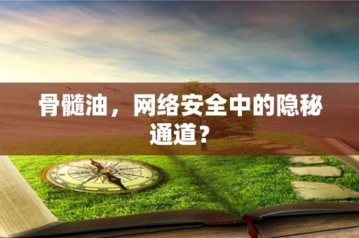 骨髓油，网络安全中的隐秘通道？