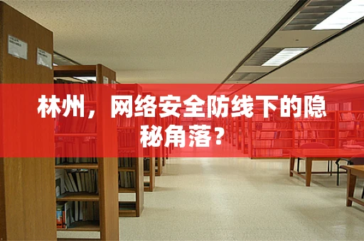 林州，网络安全防线下的隐秘角落？