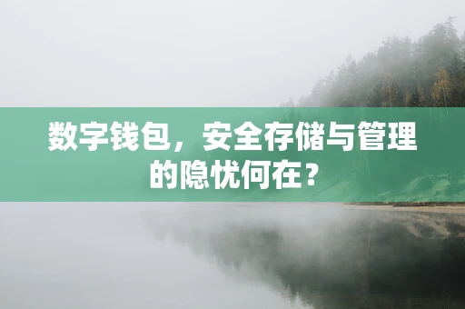 数字钱包，安全存储与管理的隐忧何在？