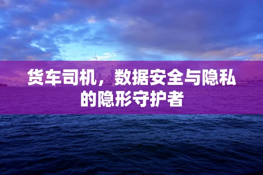 货车司机，数据安全与隐私的隐形守护者