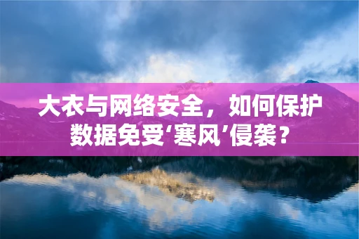 大衣与网络安全，如何保护数据免受‘寒风’侵袭？