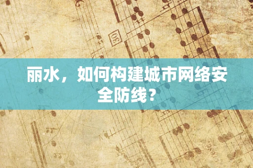 丽水，如何构建城市网络安全防线？