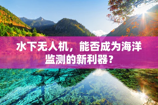 水下无人机，能否成为海洋监测的新利器？