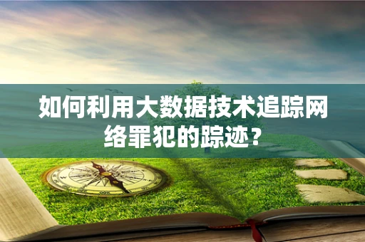 如何利用大数据技术追踪网络罪犯的踪迹？