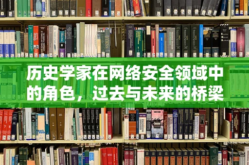 历史学家在网络安全领域中的角色，过去与未来的桥梁？