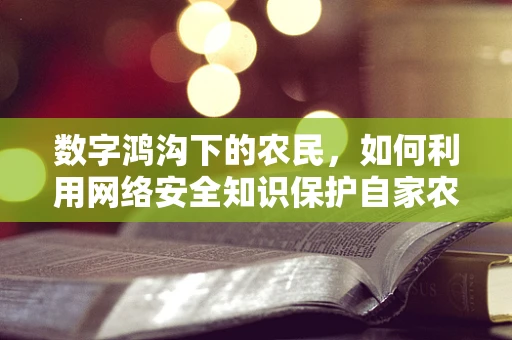 数字鸿沟下的农民，如何利用网络安全知识保护自家农田？