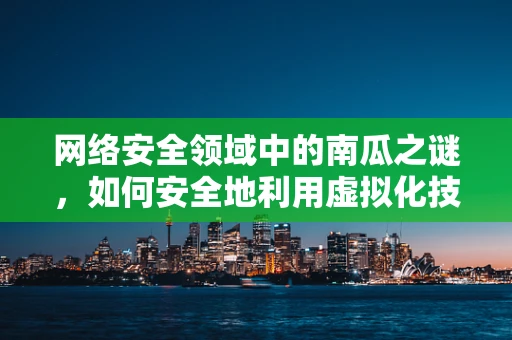 网络安全领域中的南瓜之谜，如何安全地利用虚拟化技术保护数据？