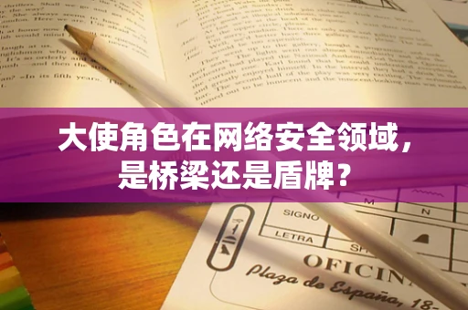 大使角色在网络安全领域，是桥梁还是盾牌？