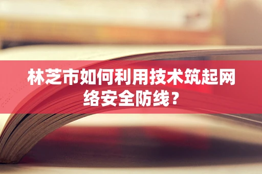 林芝市如何利用技术筑起网络安全防线？