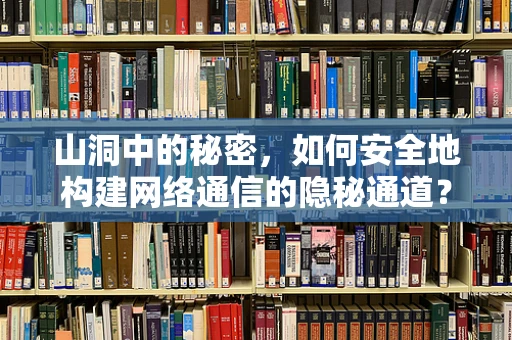 山洞中的秘密，如何安全地构建网络通信的隐秘通道？