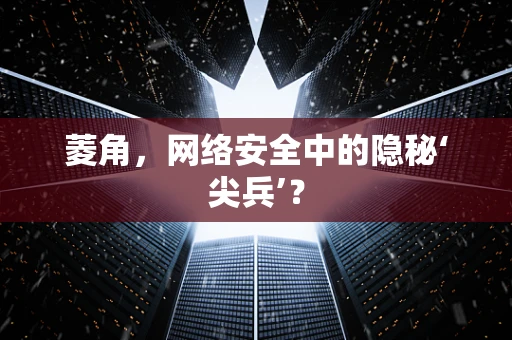 菱角，网络安全中的隐秘‘尖兵’？