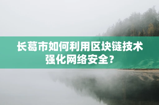 长葛市如何利用区块链技术强化网络安全？