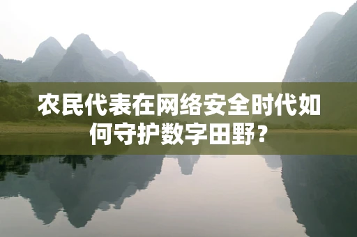 农民代表在网络安全时代如何守护数字田野？