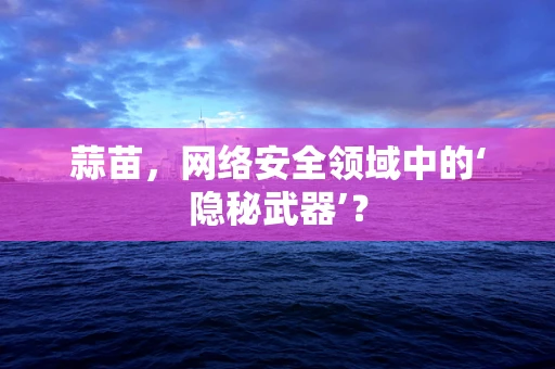 蒜苗，网络安全领域中的‘隐秘武器’？