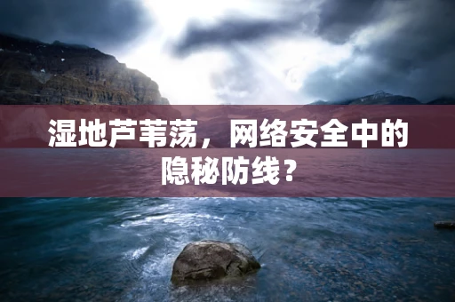 湿地芦苇荡，网络安全中的隐秘防线？