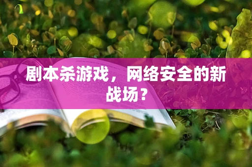 剧本杀游戏，网络安全的新战场？