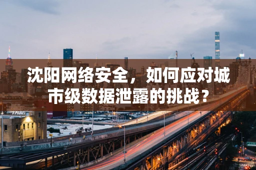 沈阳网络安全，如何应对城市级数据泄露的挑战？