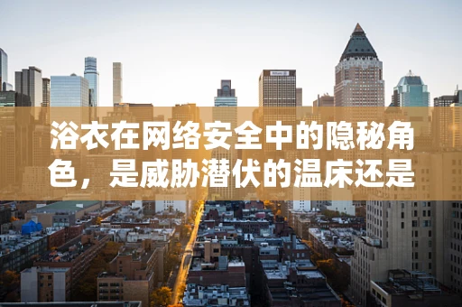 浴衣在网络安全中的隐秘角色，是威胁潜伏的温床还是防御的盲点？