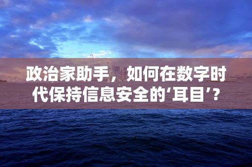 政治家助手，如何在数字时代保持信息安全的‘耳目’？