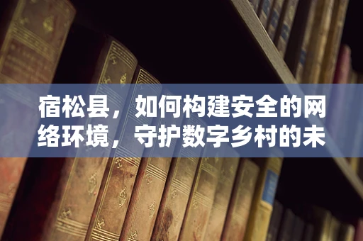 宿松县，如何构建安全的网络环境，守护数字乡村的未来？