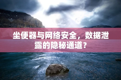 坐便器与网络安全，数据泄露的隐秘通道？