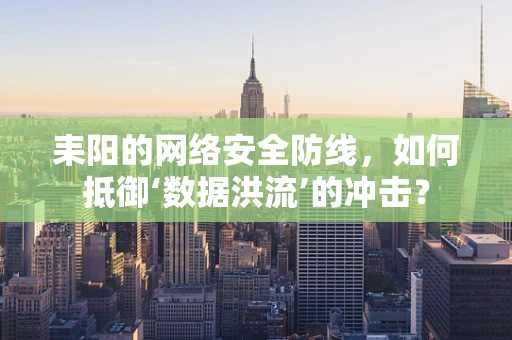 耒阳的网络安全防线，如何抵御‘数据洪流’的冲击？