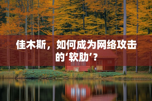 佳木斯，如何成为网络攻击的‘软肋’？