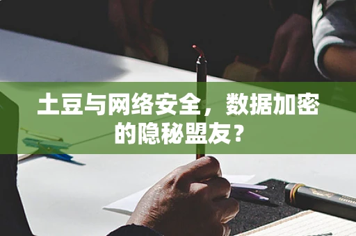 土豆与网络安全，数据加密的隐秘盟友？