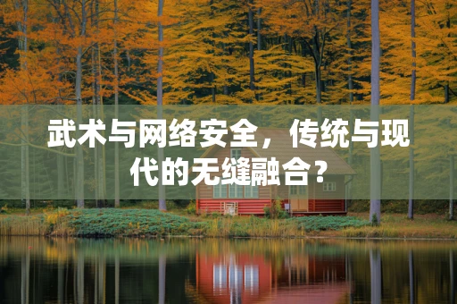 武术与网络安全，传统与现代的无缝融合？