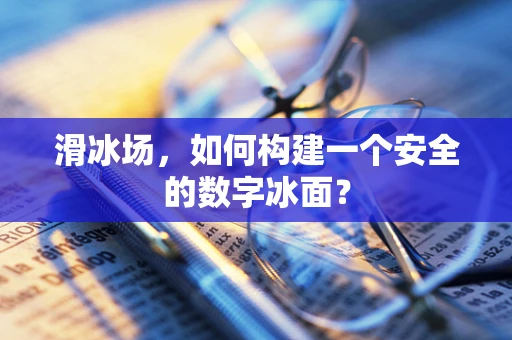 滑冰场，如何构建一个安全的数字冰面？