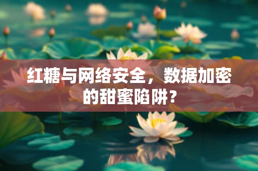 红糖与网络安全，数据加密的甜蜜陷阱？